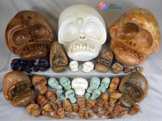 A collection of Evolian skulls in different sizes and shapes.