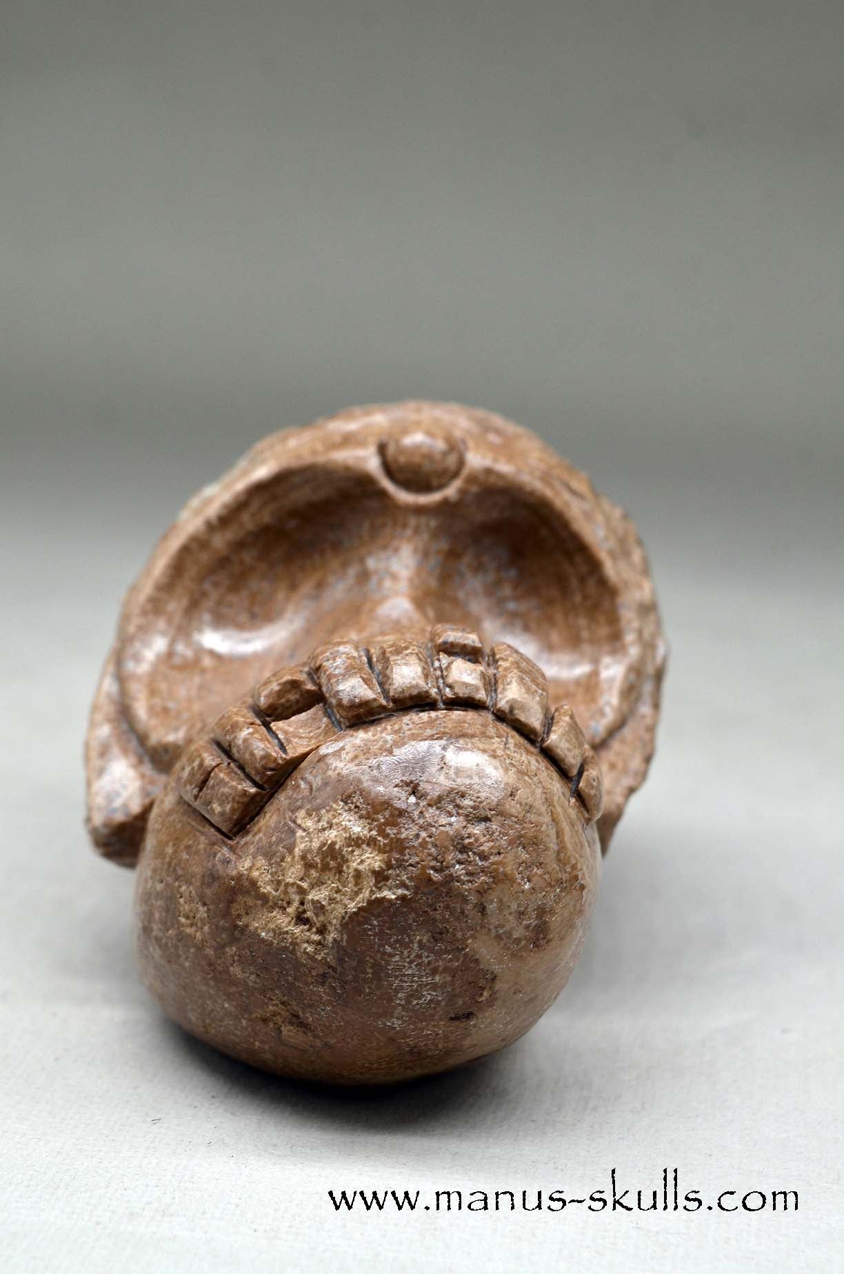 Aragonite Nodul Evolian Skull 2025 # 11