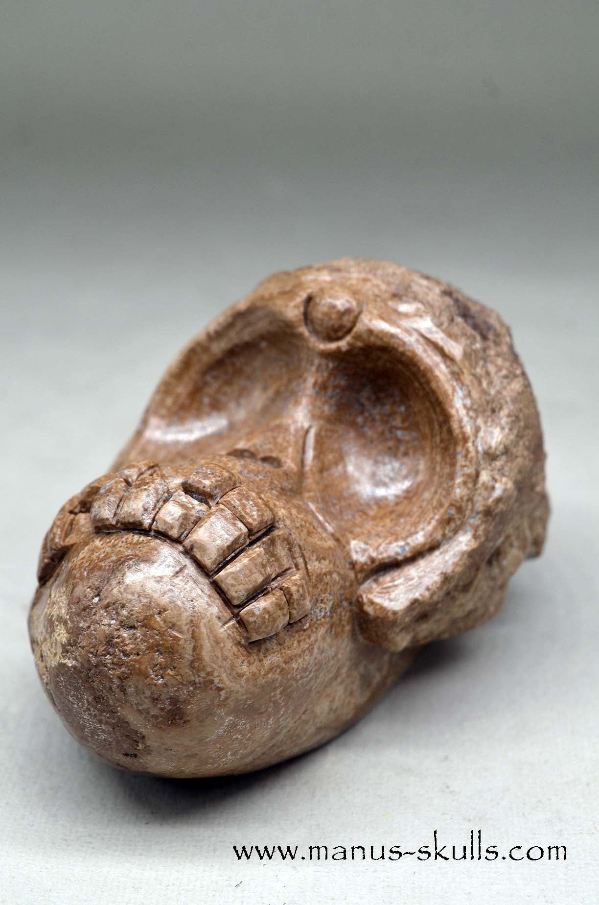 Aragonite Nodul Evolian Skull 2025 # 11