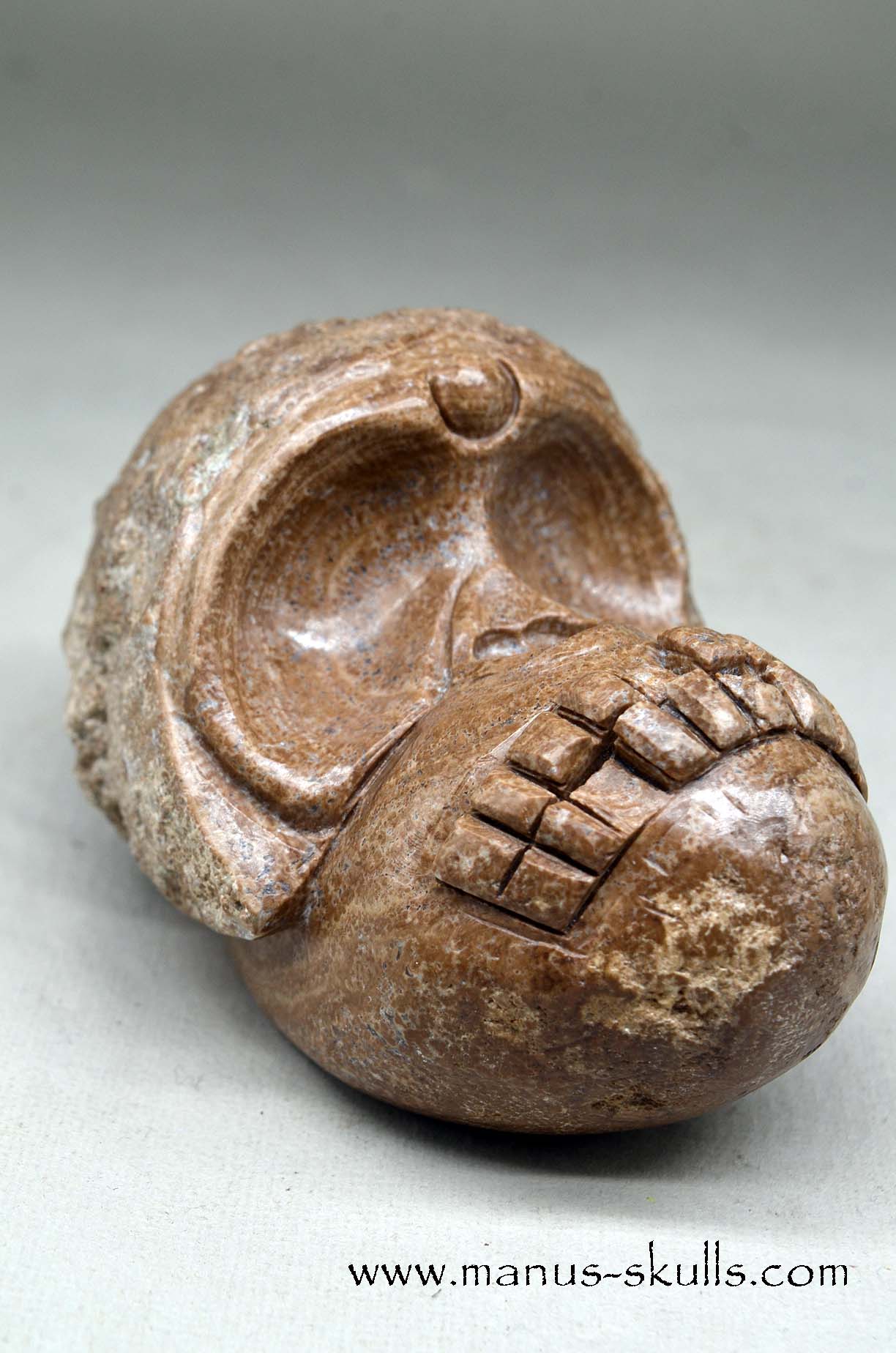 Aragonite Nodul Evolian Skull 2025 # 11