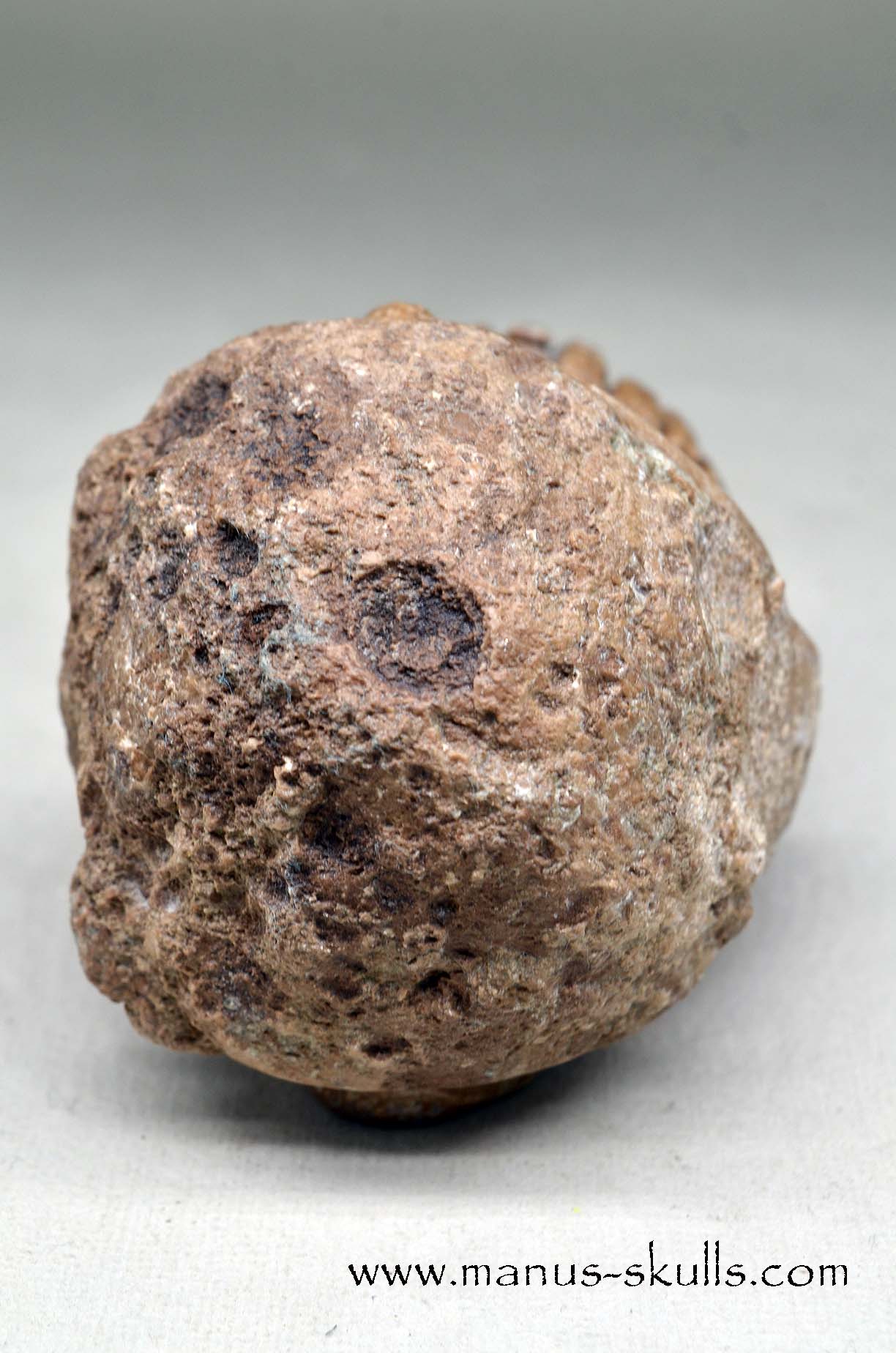 Aragonite Nodul Evolian Skull 2025 # 11