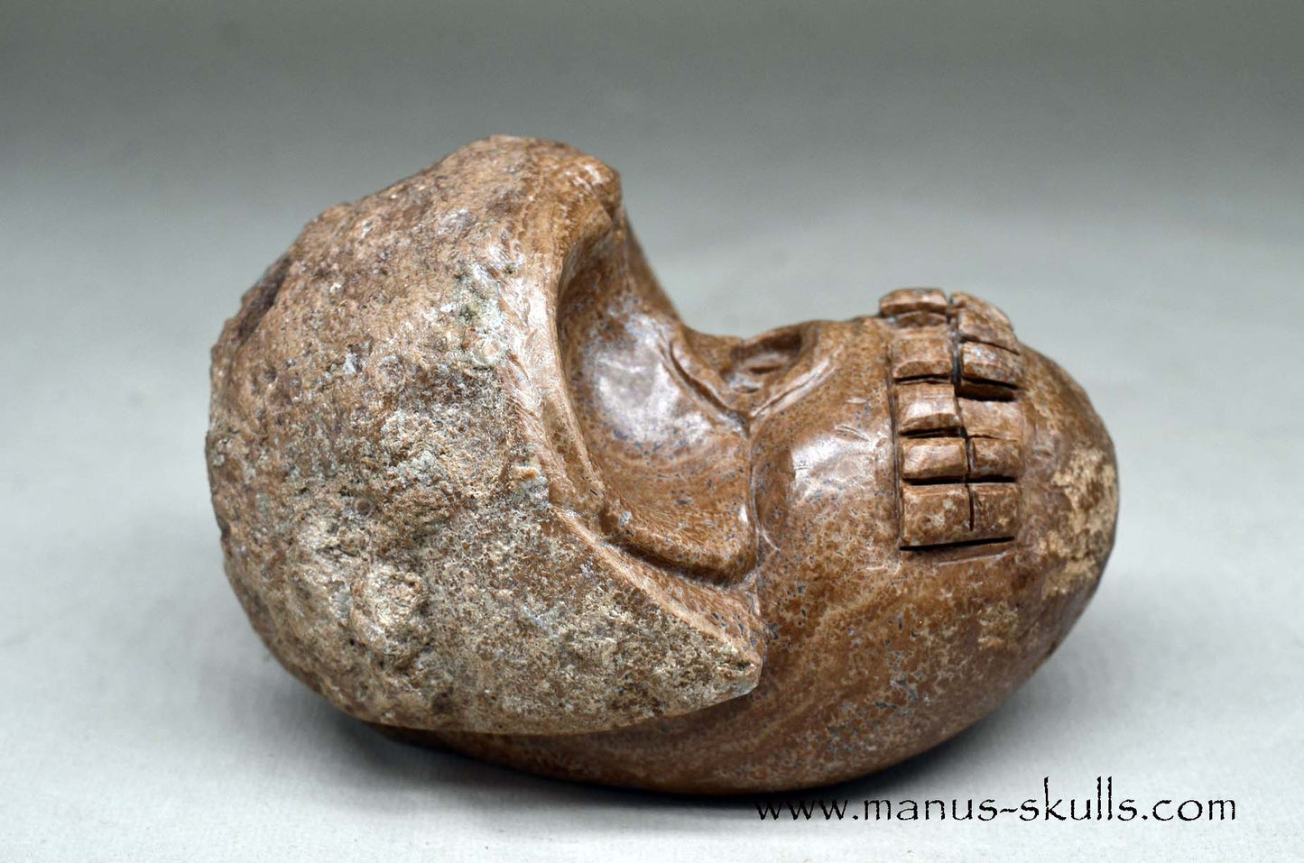 Aragonite Nodul Evolian Skull 2025 # 11