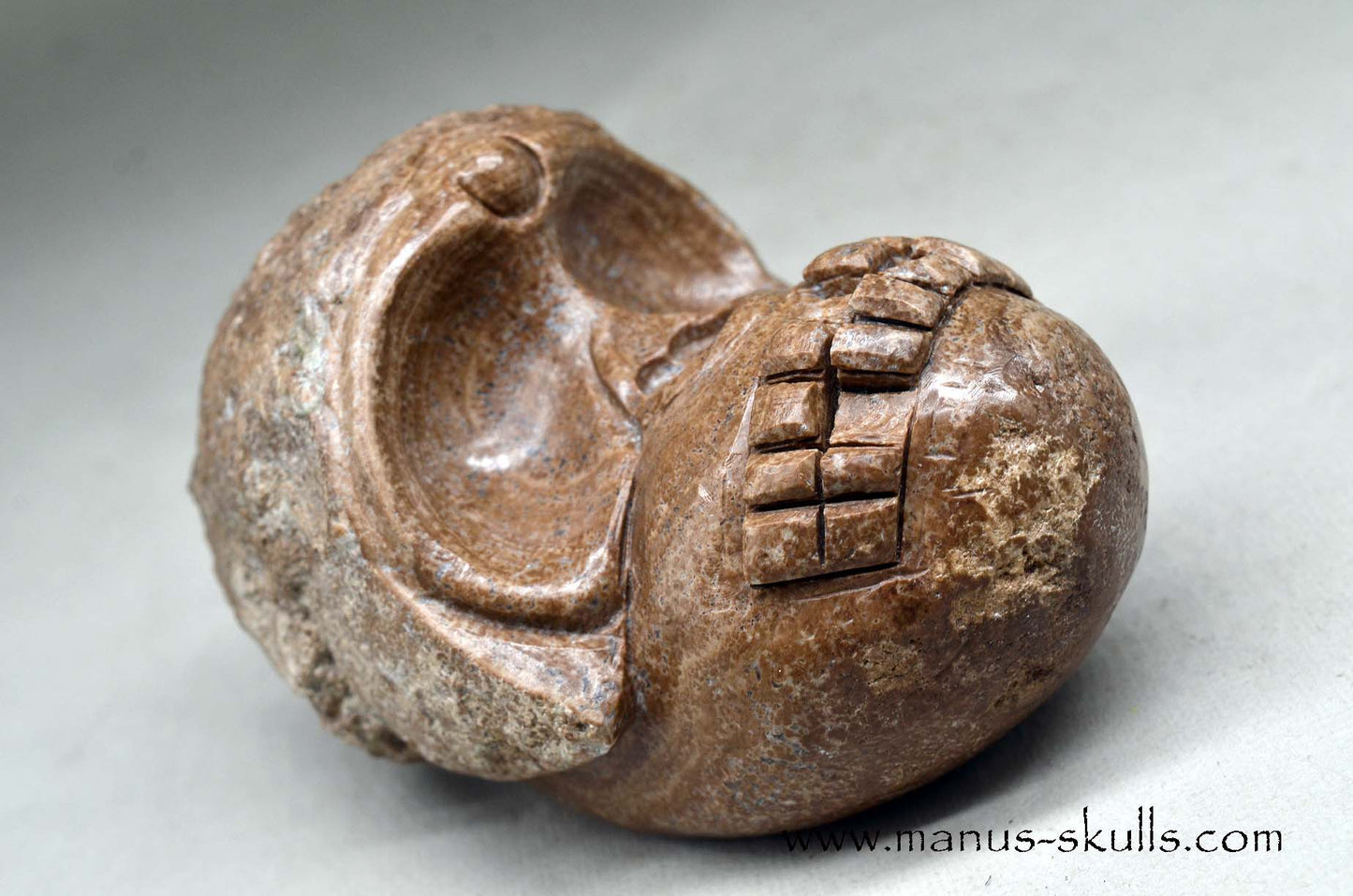 Aragonite Nodul Evolian Skull 2025 # 11