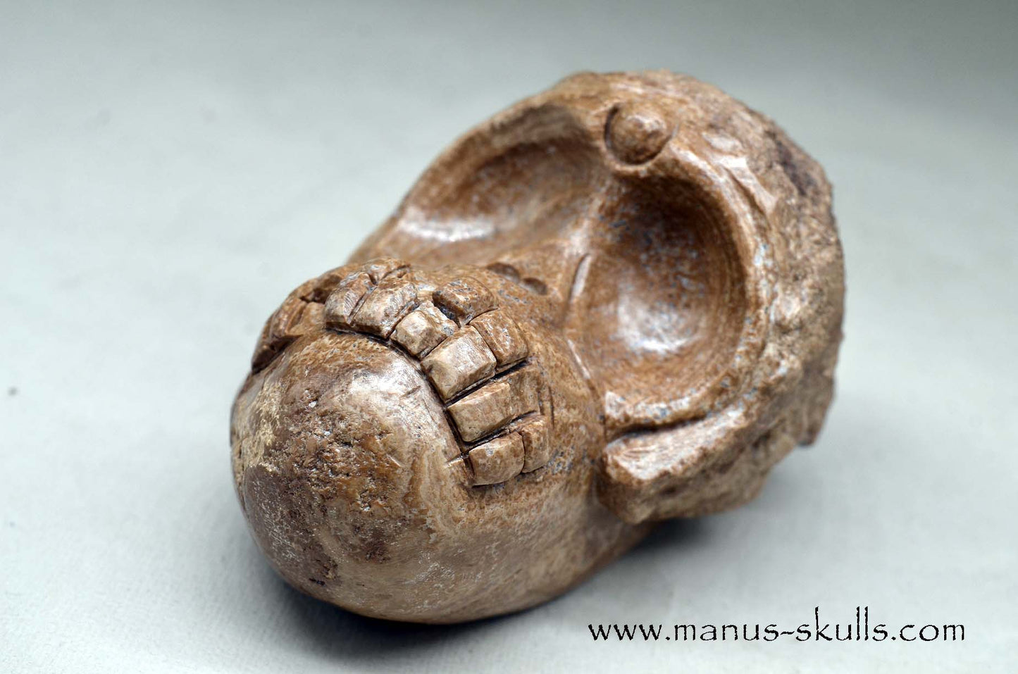 Aragonite Nodul Evolian Skull 2025 # 11