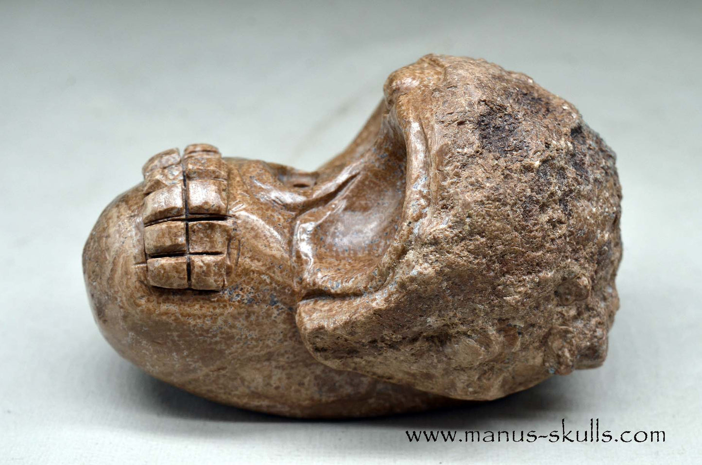 Aragonite Nodul Evolian Skull 2025 # 11