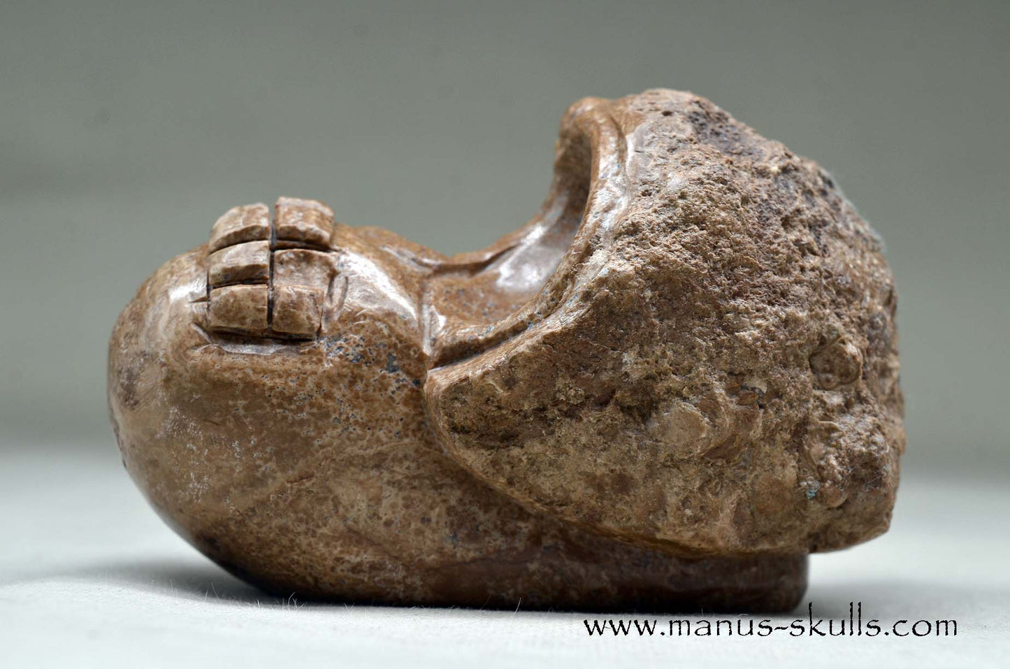 Aragonite Nodul Evolian Skull 2025 # 11