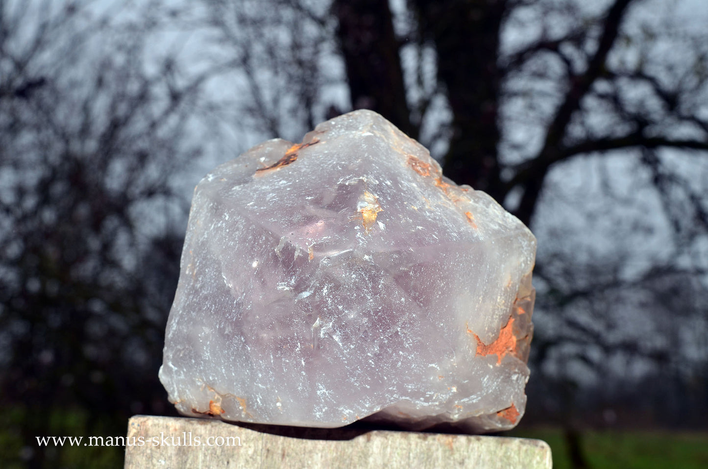 Large Mandu Amethyst Point Head Skull