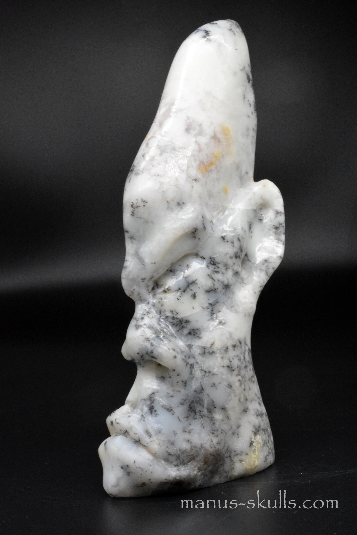 Dendrite Agate Tribal Manus Skull