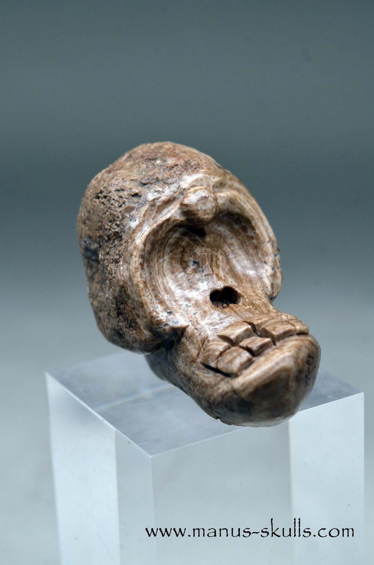 Aragonite Nodul Evolian Skull 2025 #03