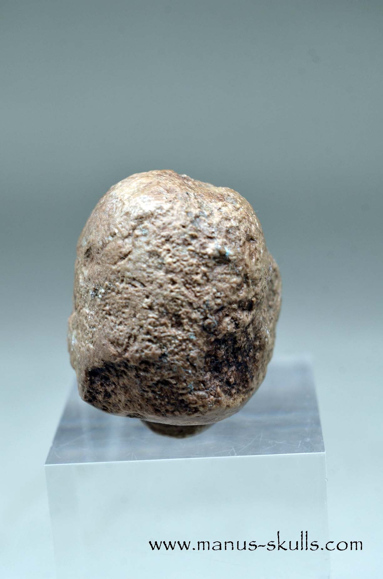 Aragonite Nodul Evolian Skull 2025 #03