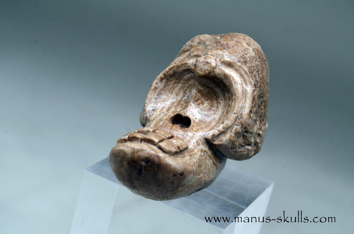 Aragonite Nodul Evolian Skull 2025 #03