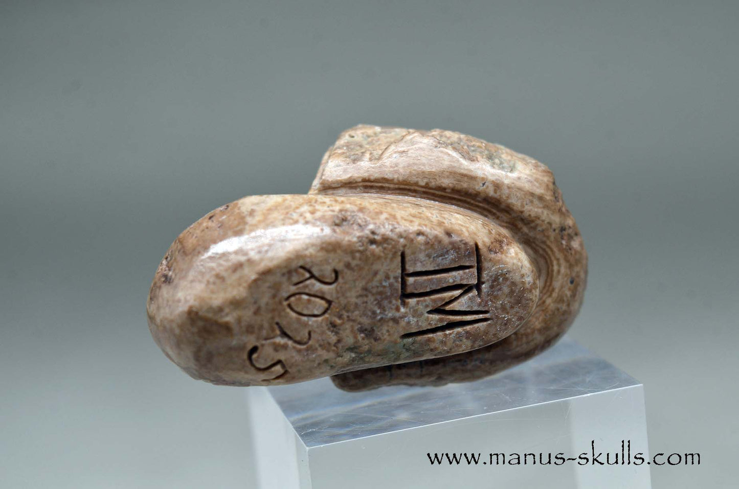 Aragonite Nodul Evolian Skull 2025 #03