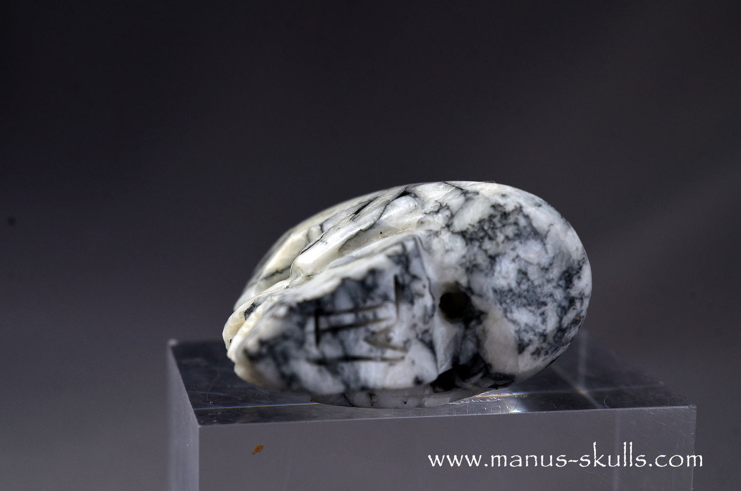 Pinolite miniature Skull