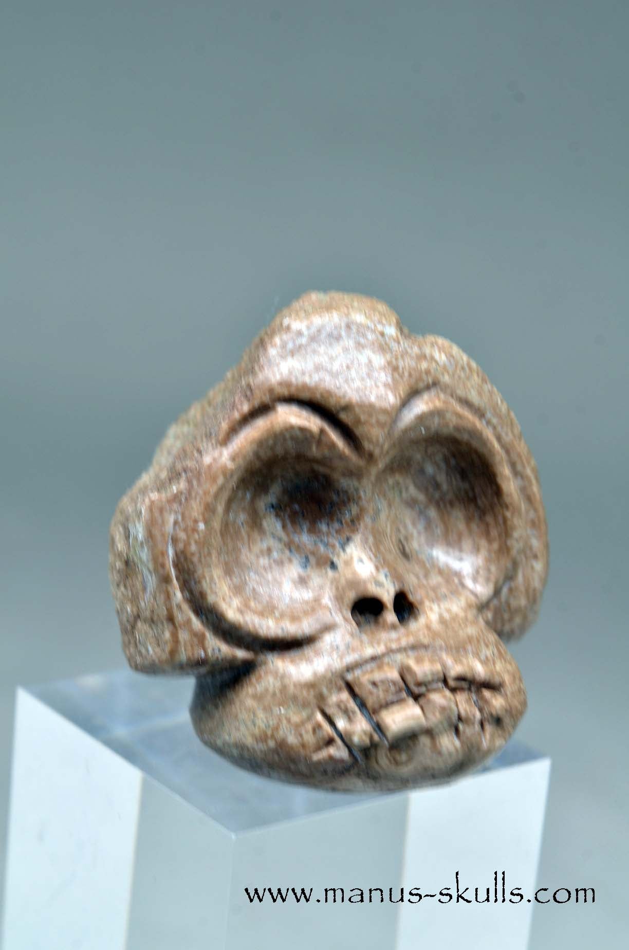 Aragonite Nodul Evolian Skull 2025 # 04