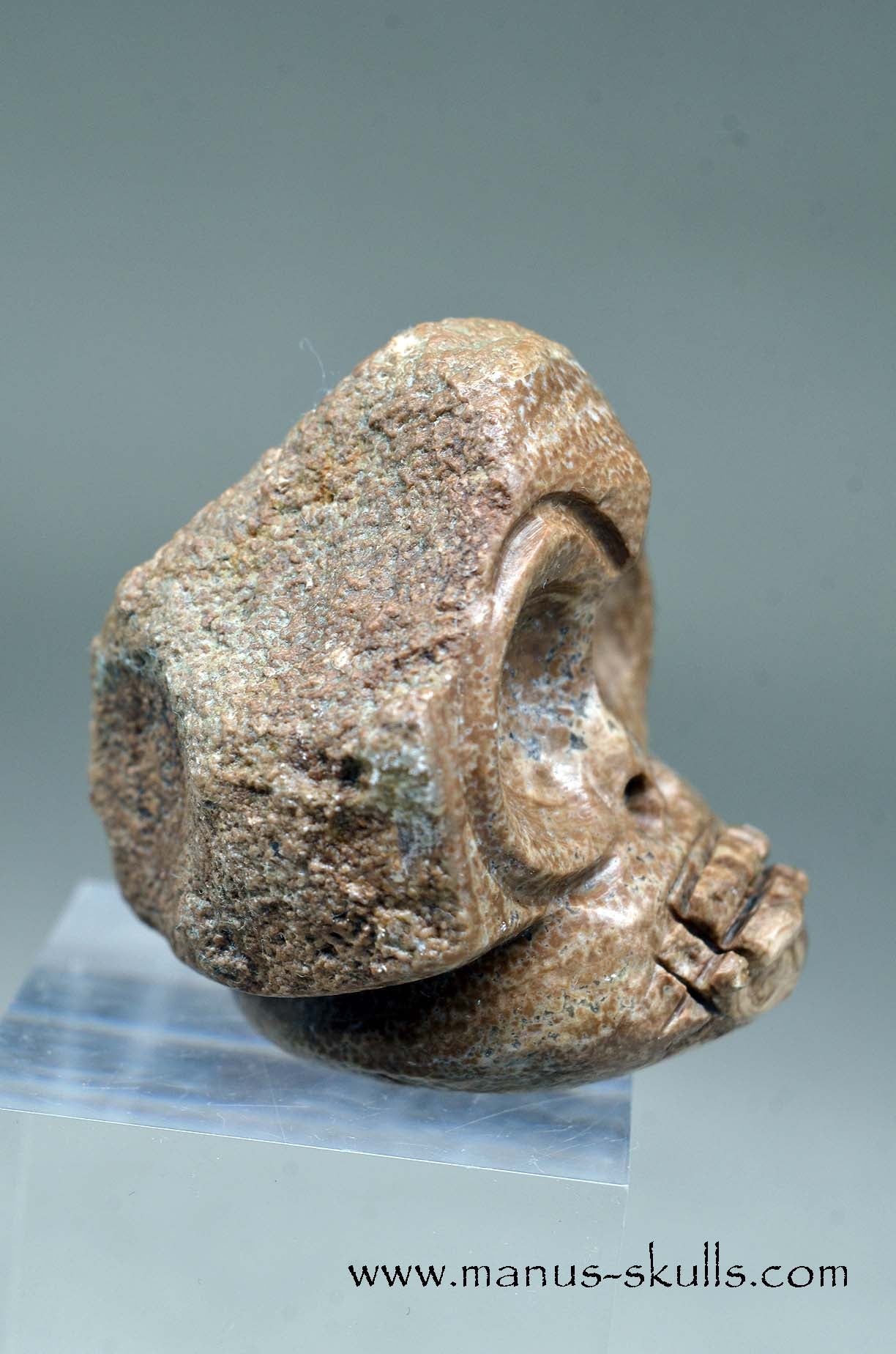 Aragonite Nodul Evolian Skull 2025 # 04