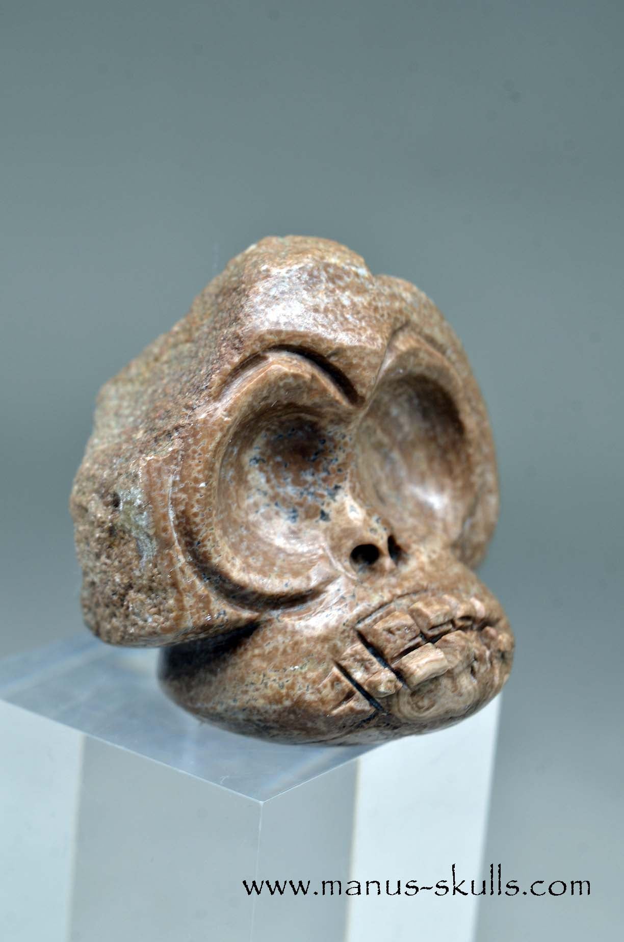 Aragonite Nodul Evolian Skull 2025 # 04