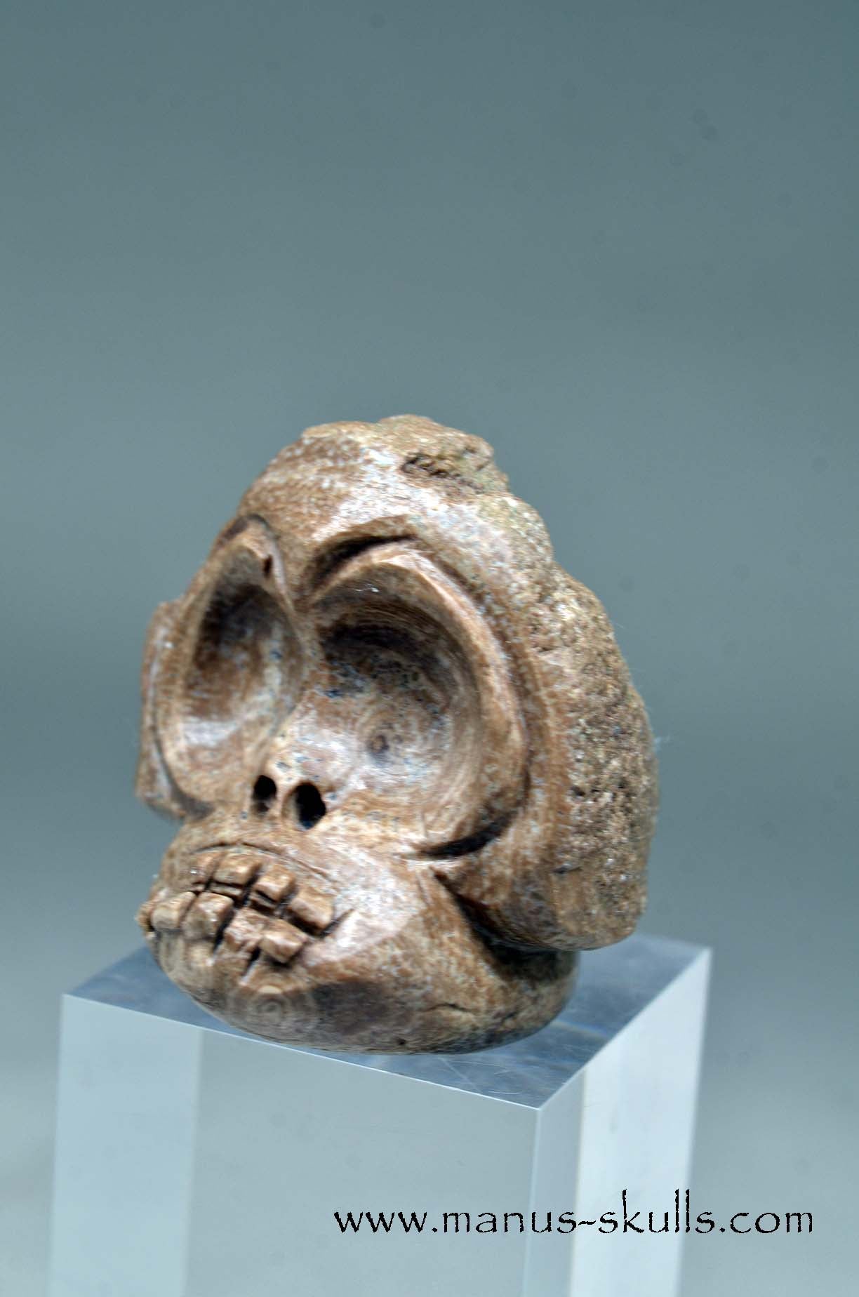 Aragonite Nodul Evolian Skull 2025 # 04