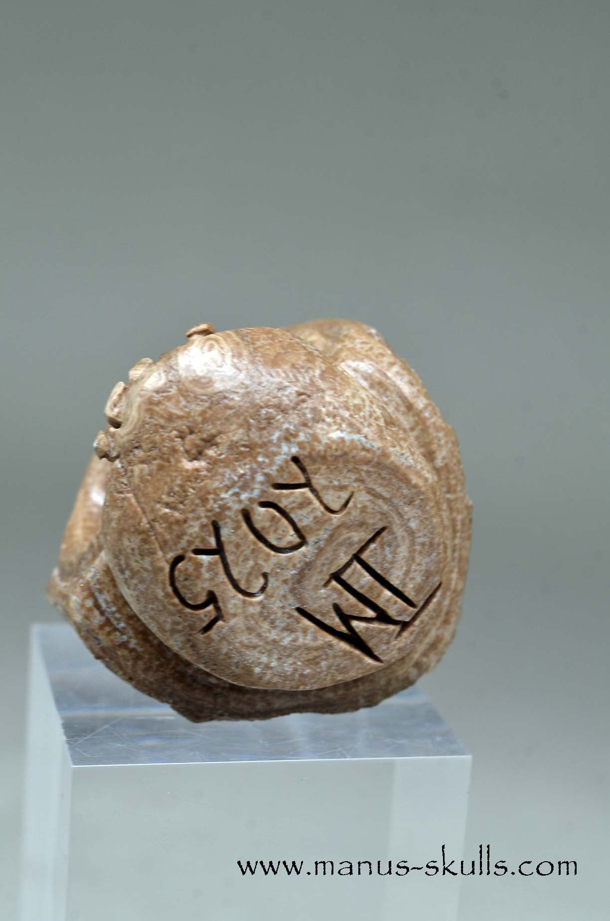 Aragonite Nodul Evolian Skull 2025 # 04