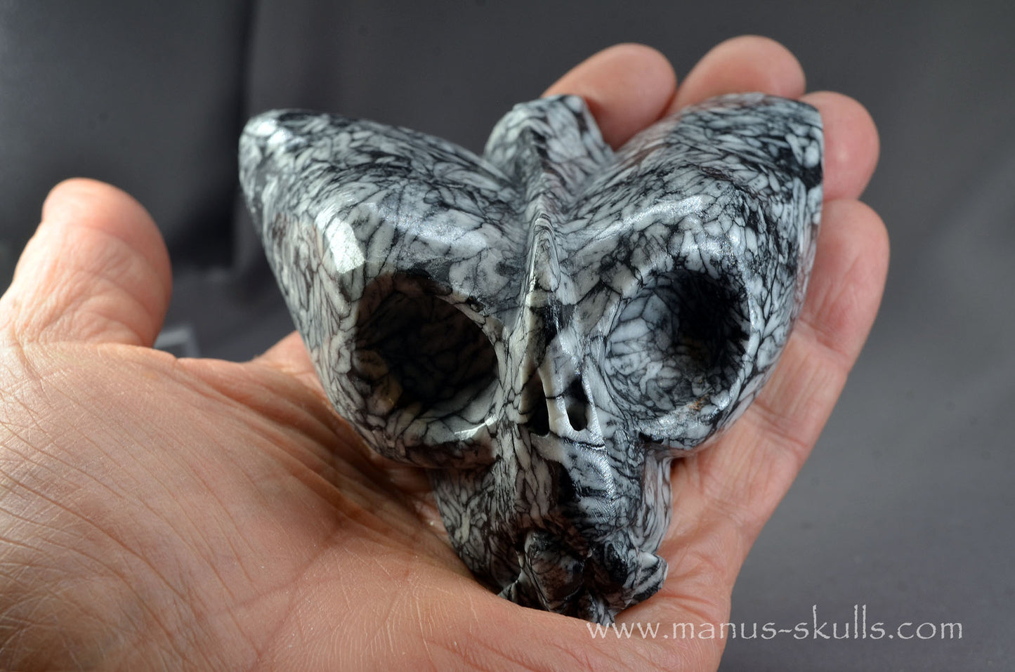Pinolith Alien Dragon