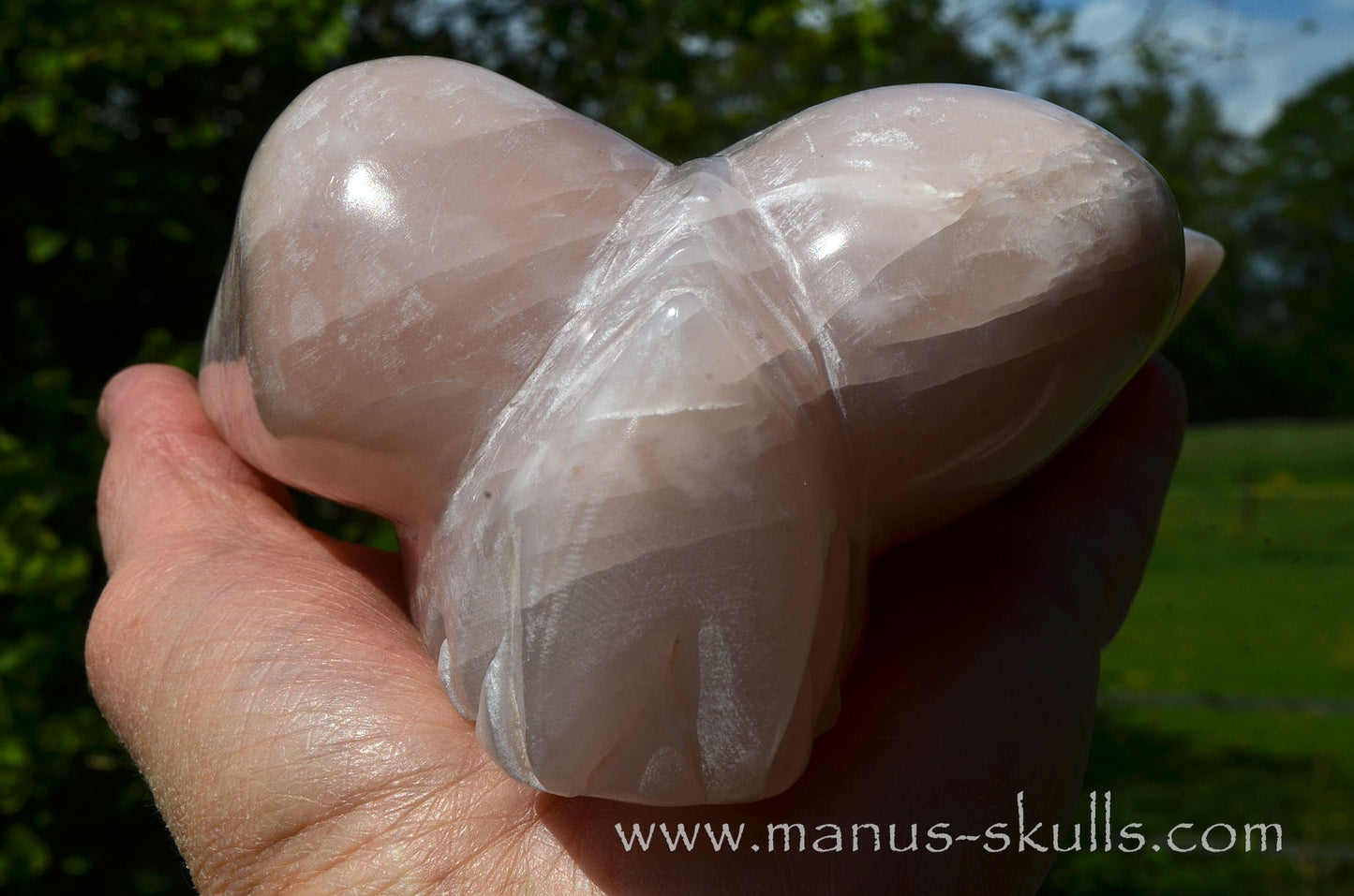 Pink Steatite Dragolian #08