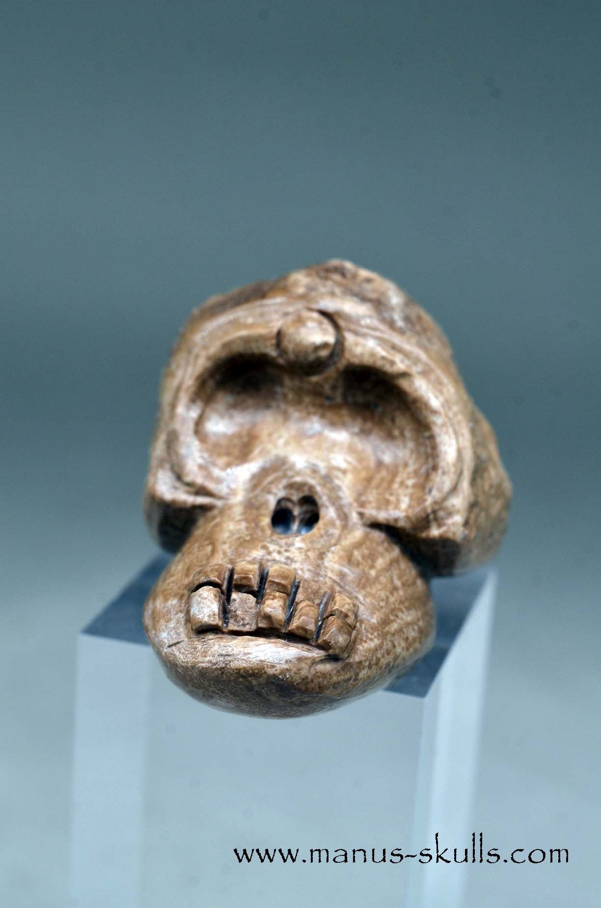 Evolian Manus SKULL