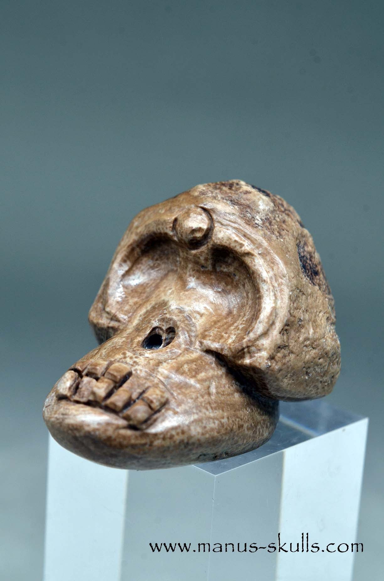 Aragonite Nodul Evolian Skull 2025 # 05