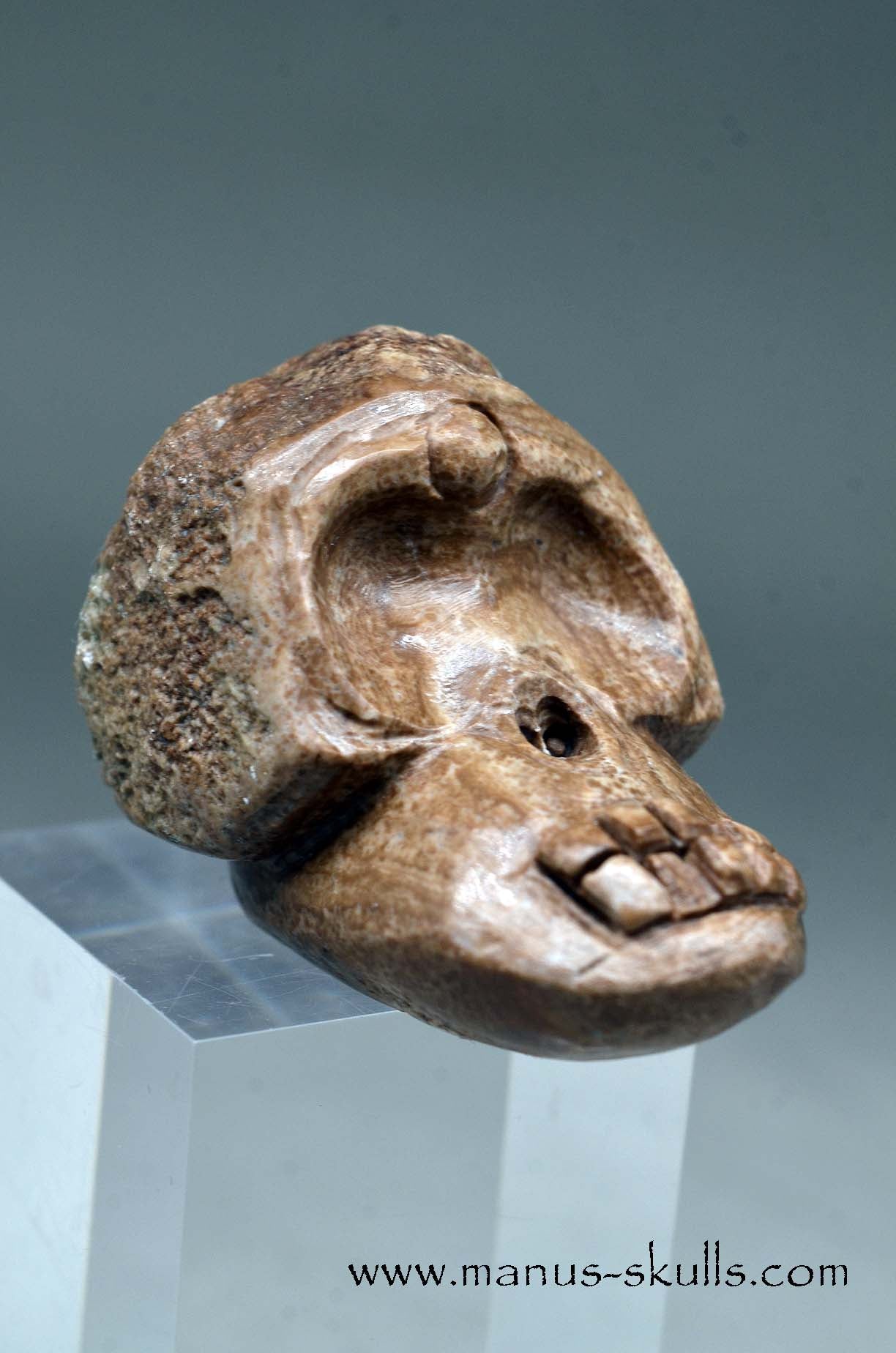 Aragonite Nodul Evolian Skull 2025 # 05