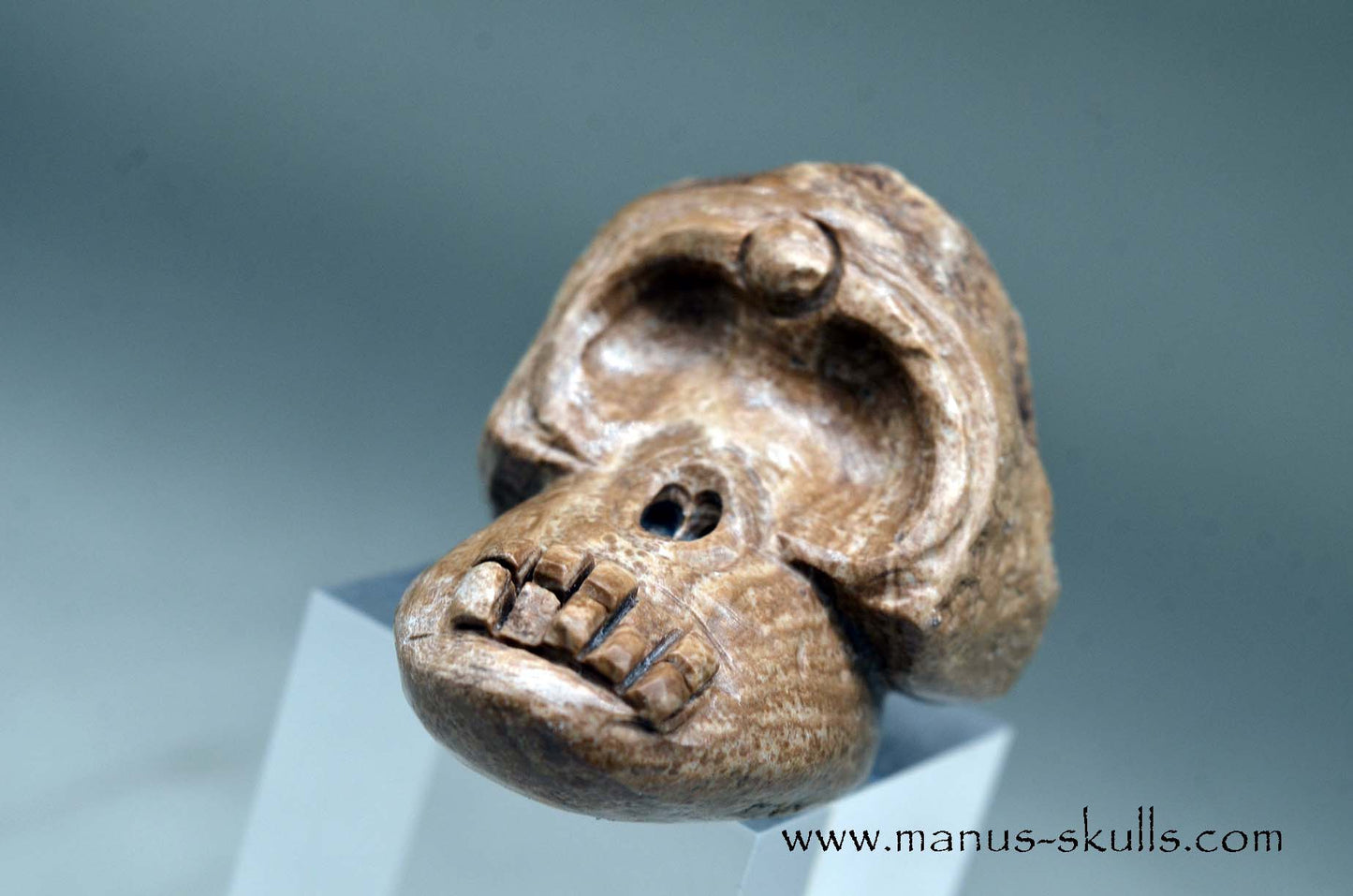 Aragonite Nodul Evolian Skull 2025 # 05