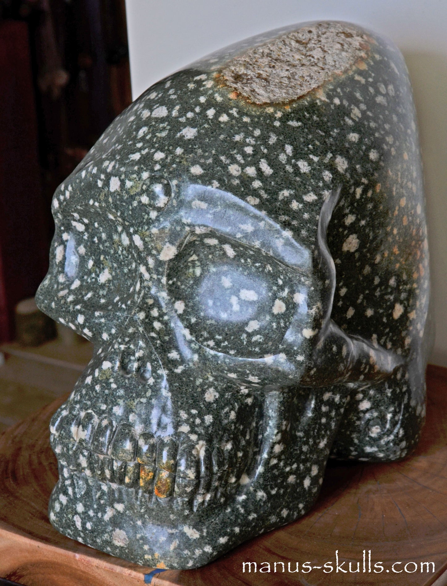 The Largest PRESELI BLUESTONE Skull in the world ...