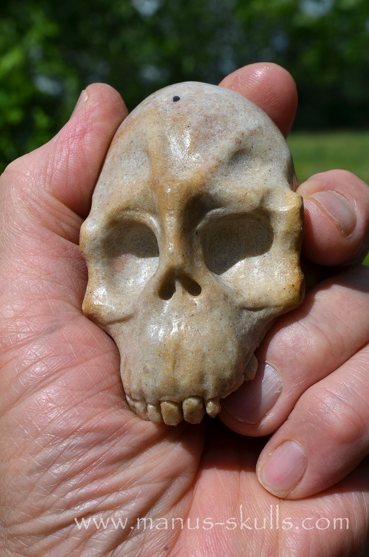 Sarsens stone Half Conehead Skull