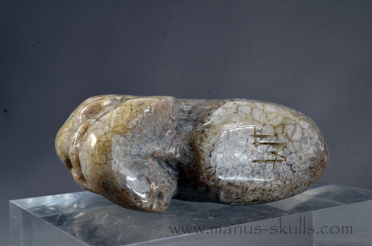 Plume Agate Skull face