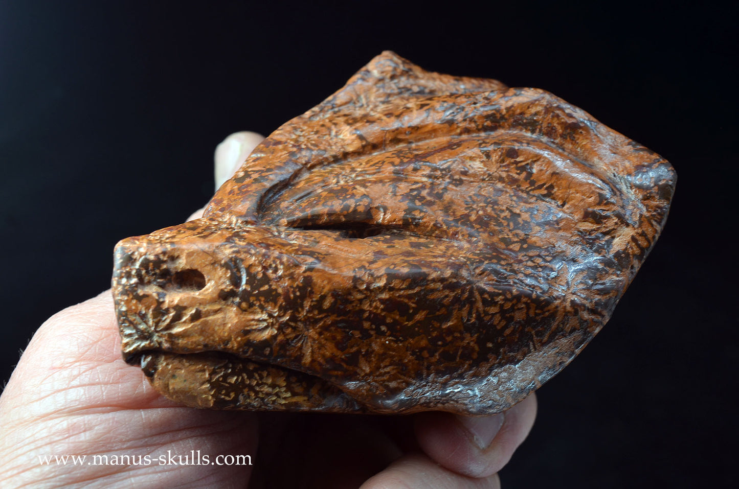Star Rhyolite Jasper Dragon