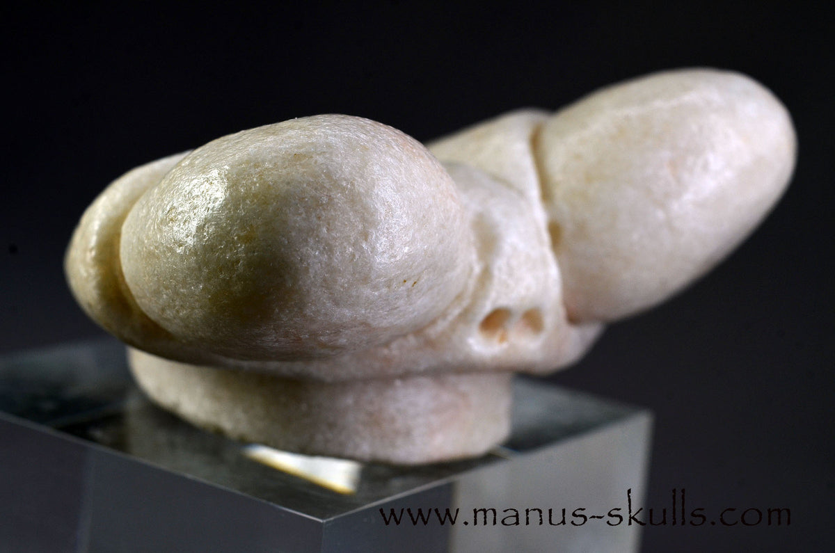 White Steatite Dragolian (#33)
