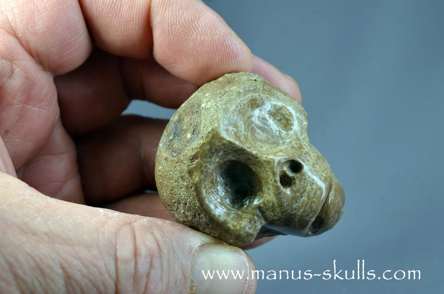Small Aragonite Nodul Character Skull
