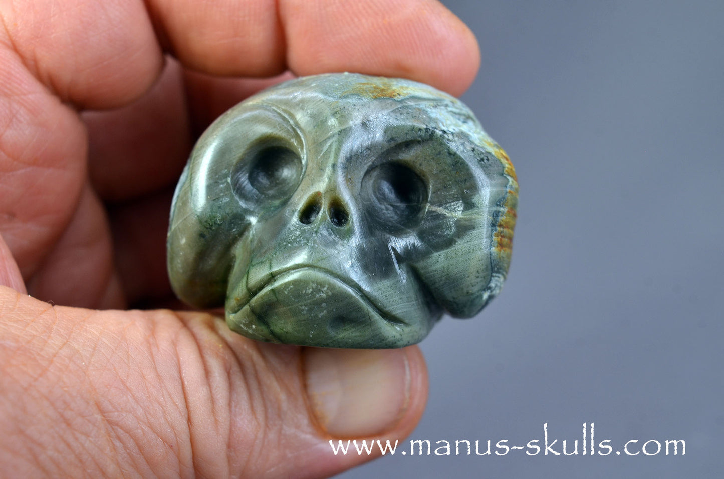 Lierbach Agate Thunderegg Baby Skull