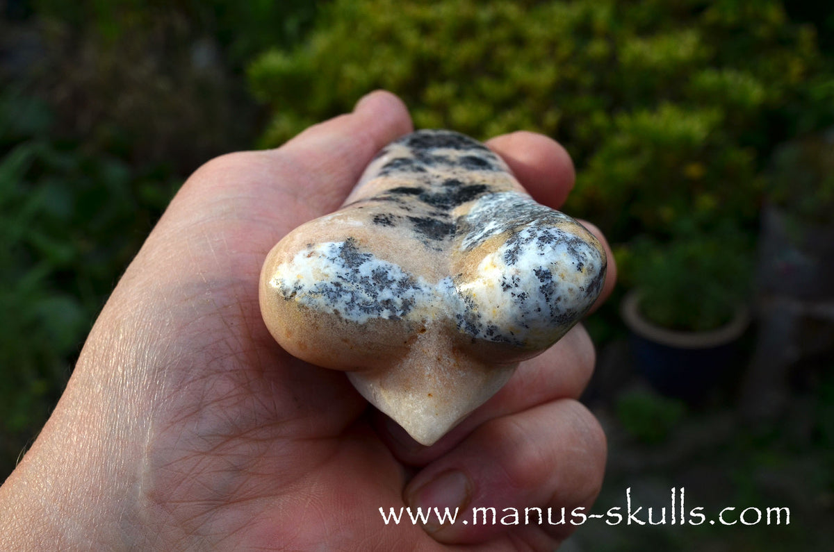 Dendritic Agate Dragolian. (#37)
