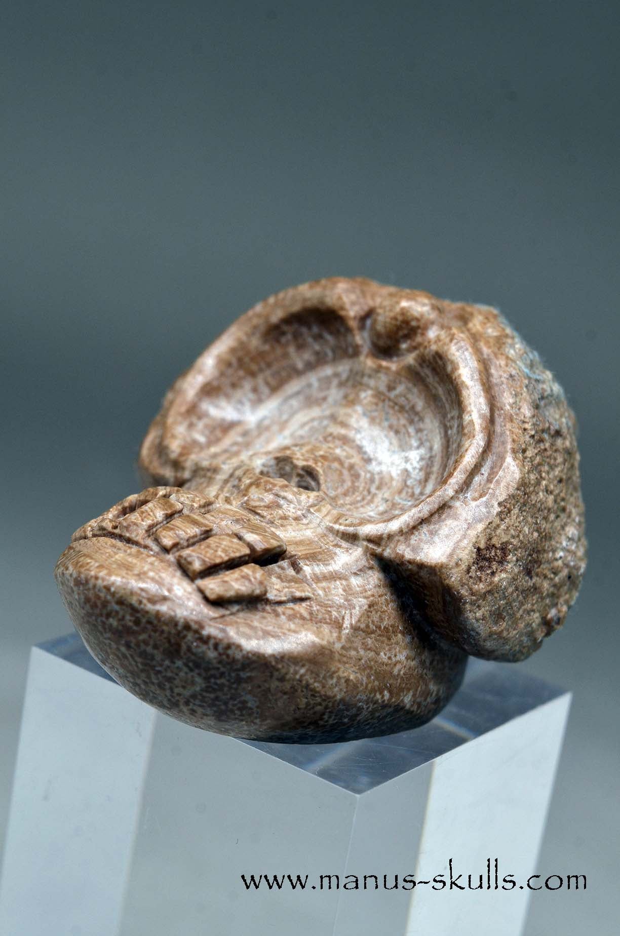 Aragonite Nodul Evolian Skull 2025 # 06