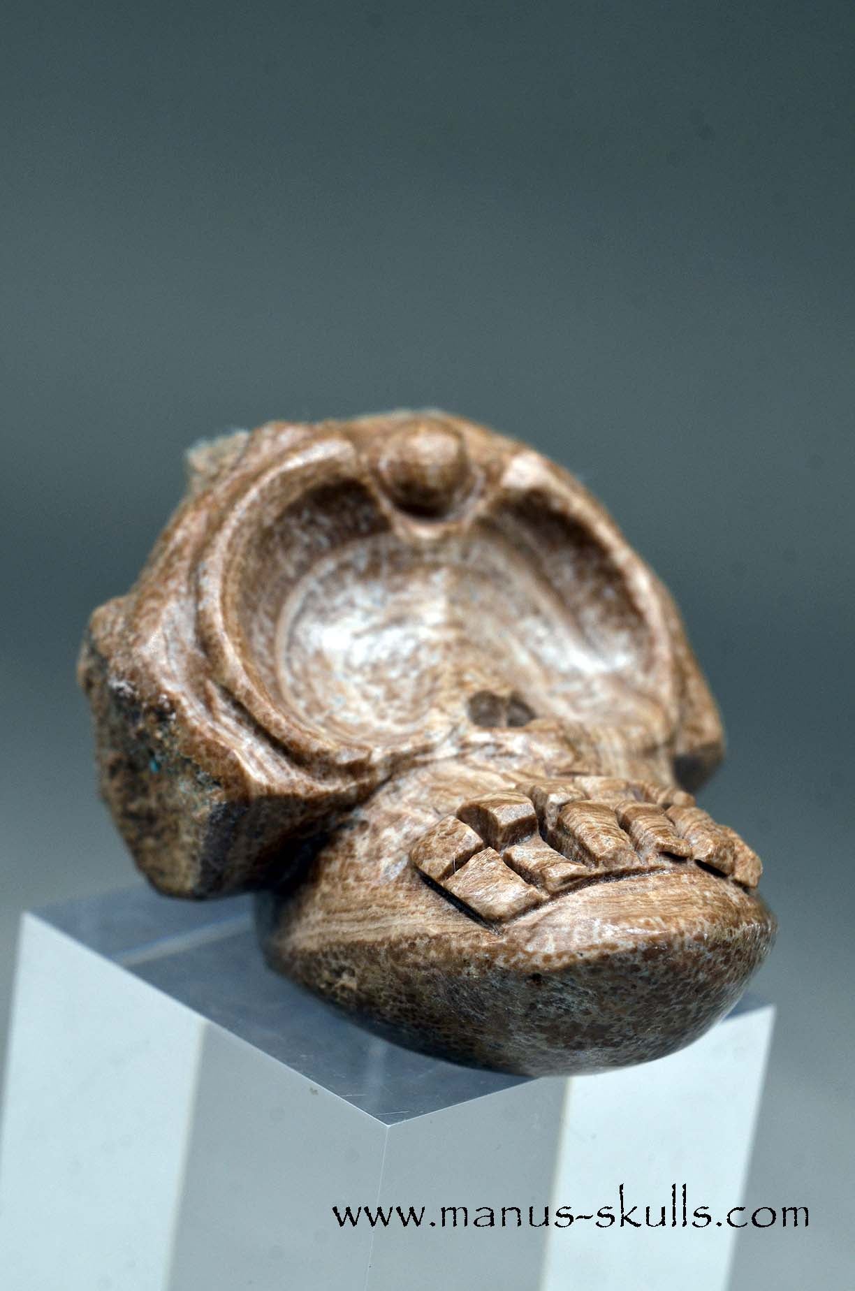 Aragonite Nodul Evolian Skull 2025 # 06