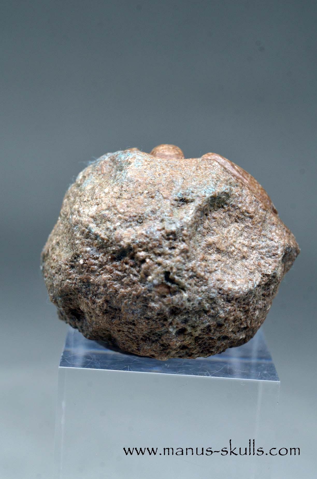 Aragonite Nodul Evolian Skull 2025 # 06