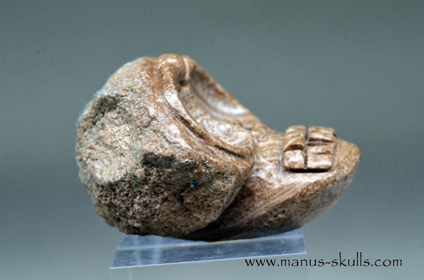 Aragonite Nodul Evolian Skull 2025 # 06