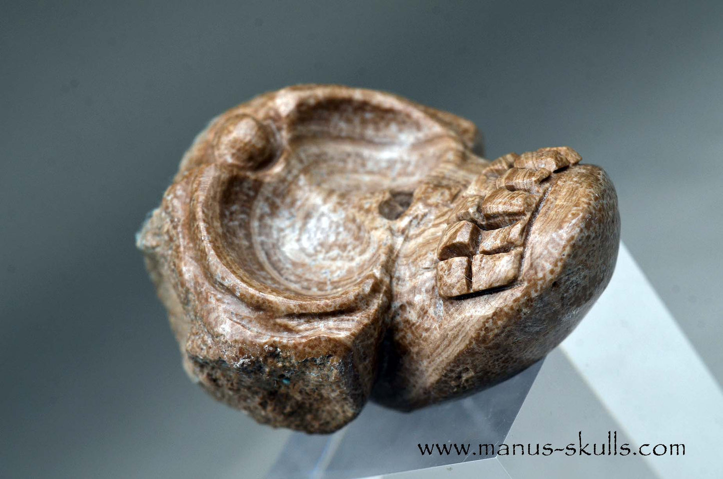 Aragonite Nodul Evolian Skull 2025 # 06