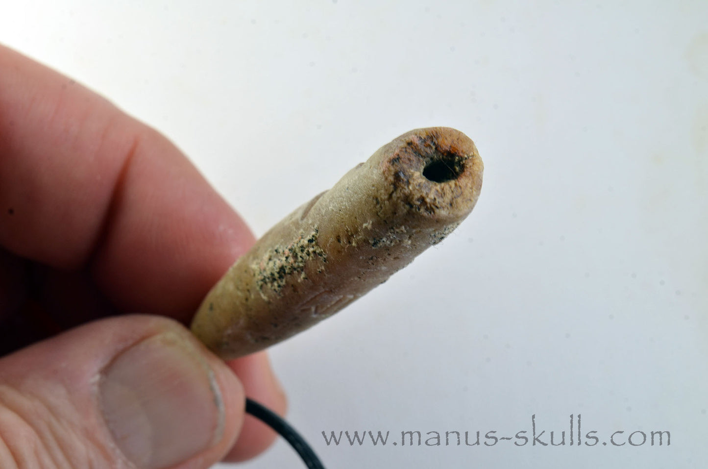 Belemnite Fossiel Tribal Pendant (#53)
