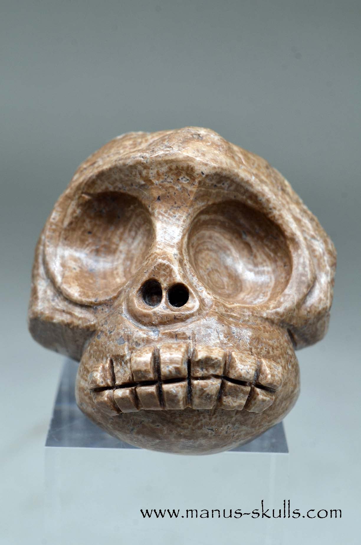 Evolian Manus SKULL