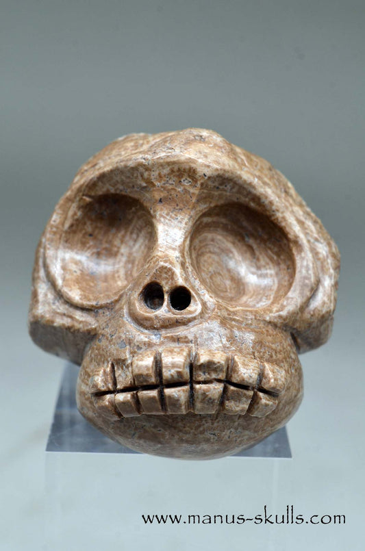 Evolian Manus SKULL