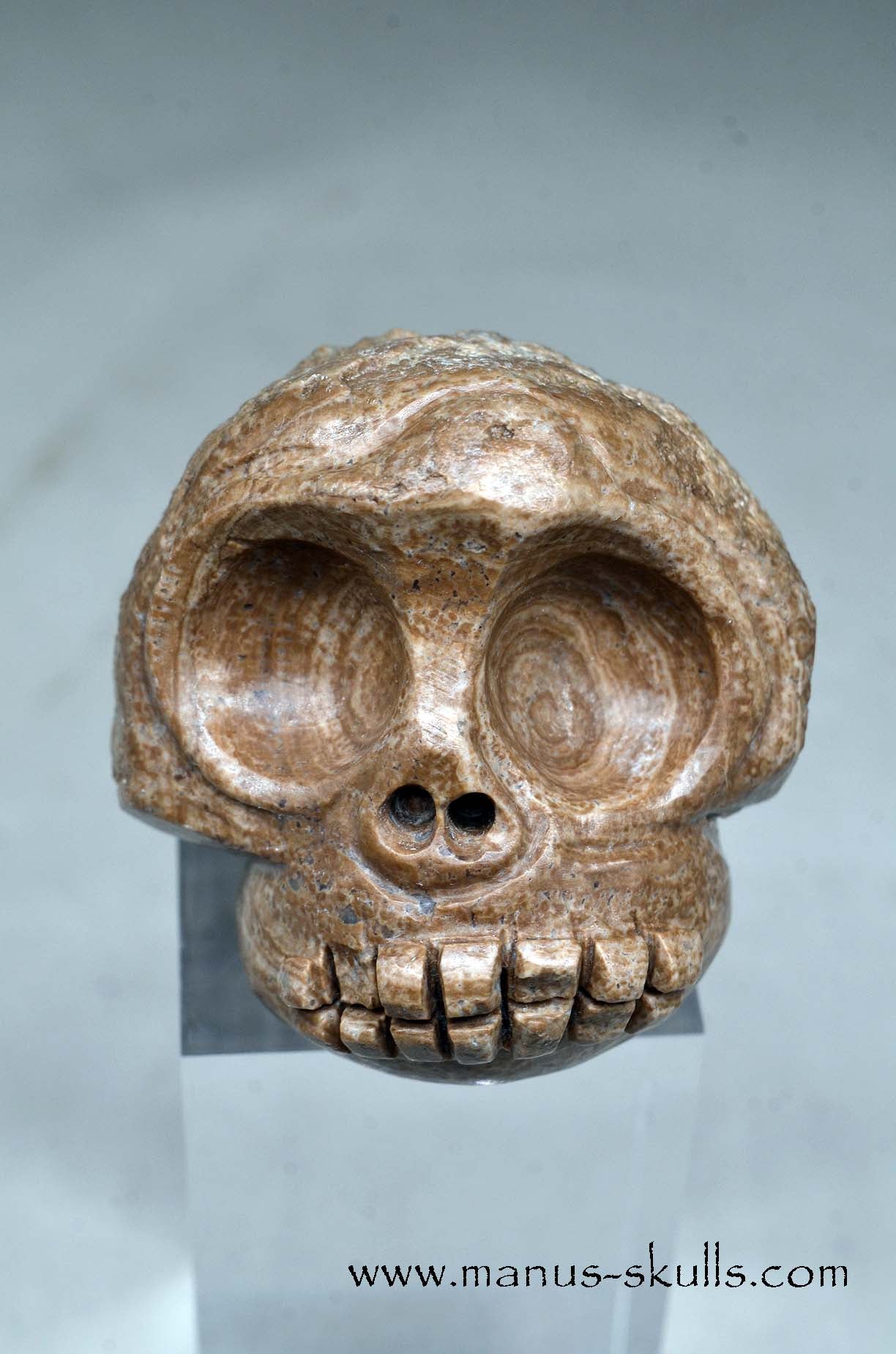 Evolian Manus SKULL
