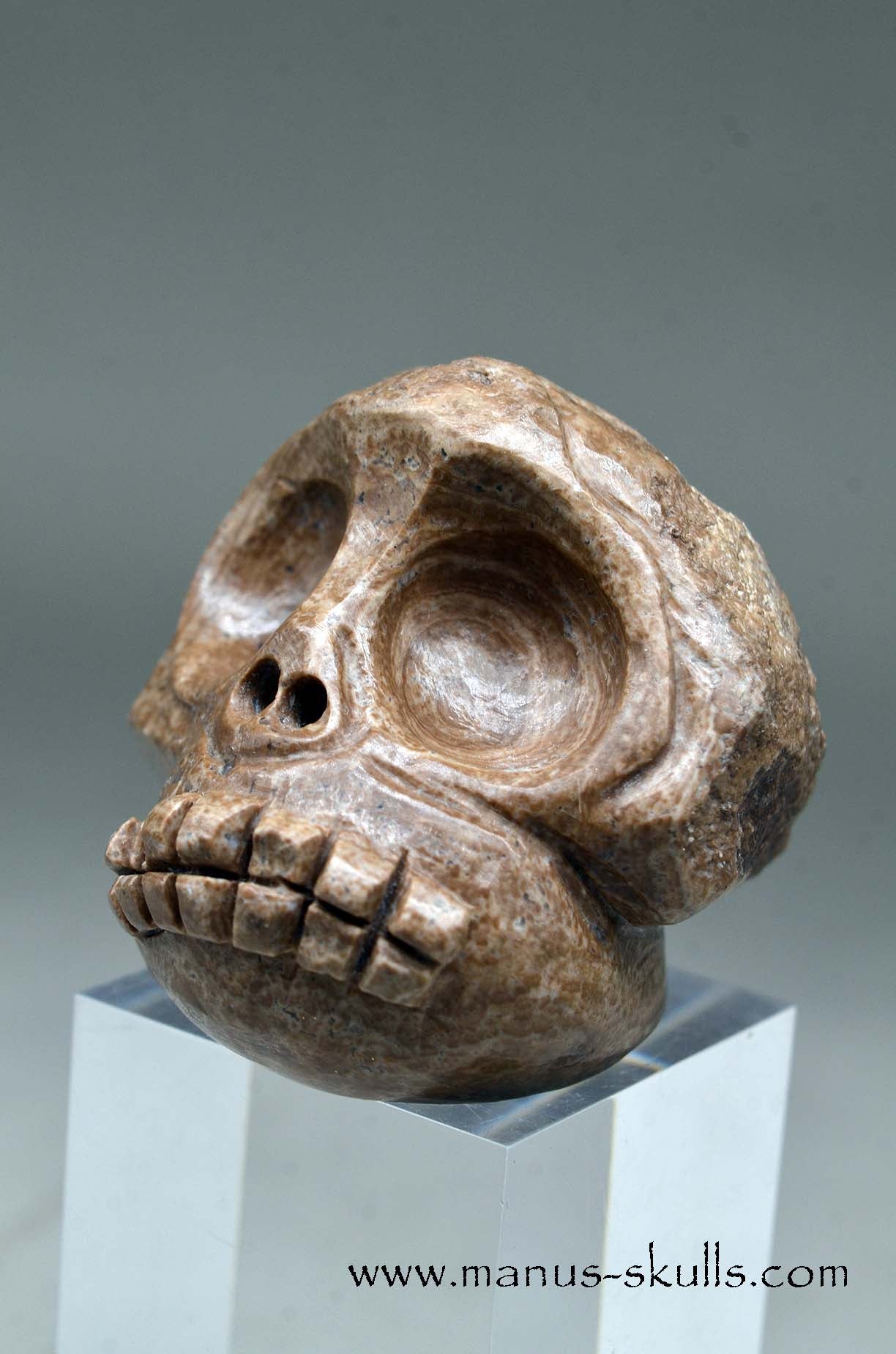 Aragonite Nodul Evolian Skull 2025 # 08
