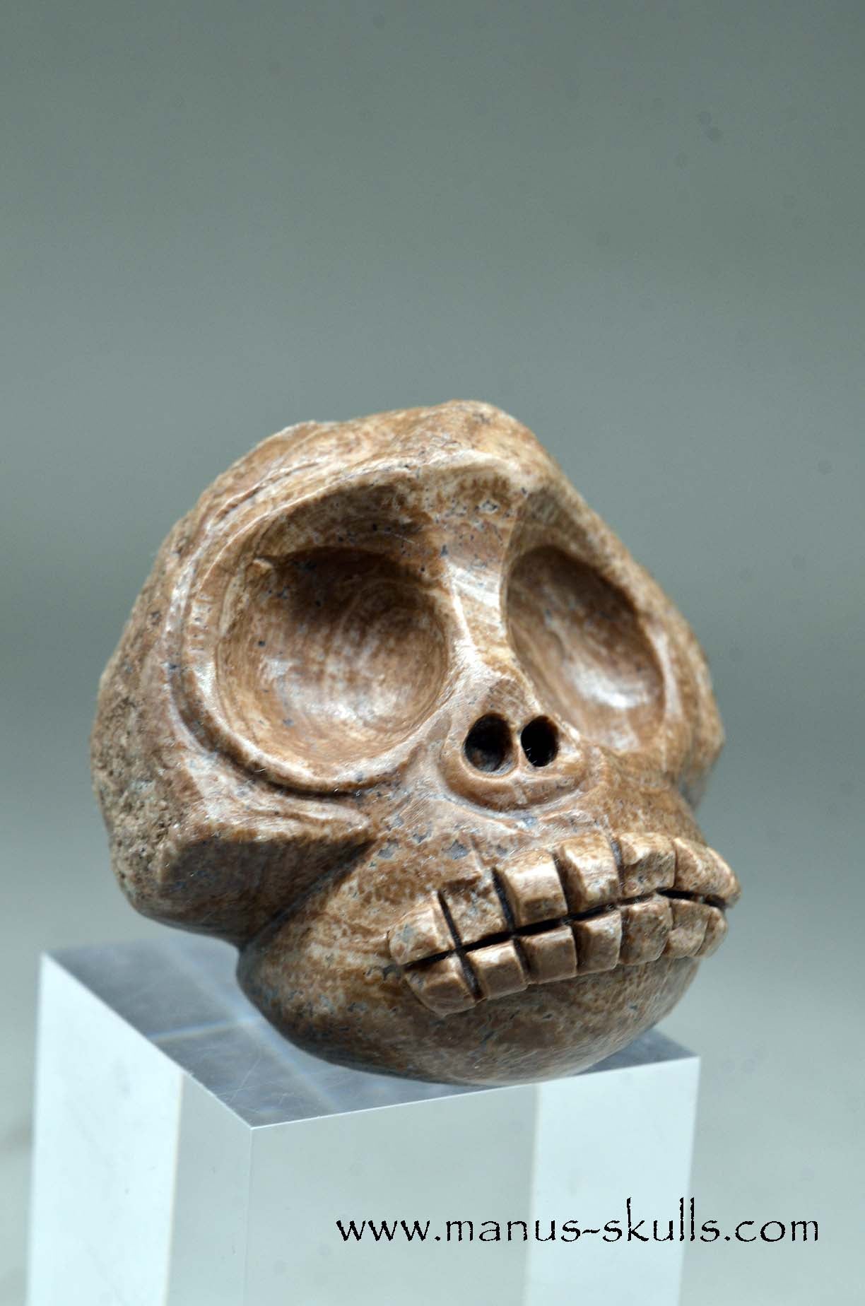 Aragonite Nodul Evolian Skull 2025 # 08