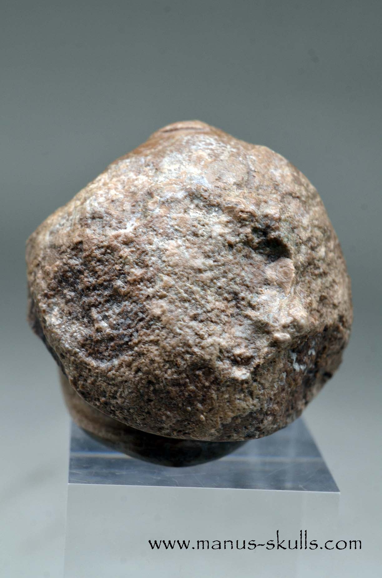 Aragonite Nodul Evolian Skull 2025 # 08