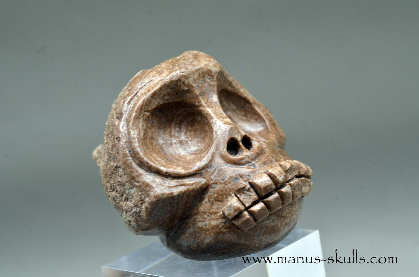 Aragonite Nodul Evolian Skull 2025 # 08