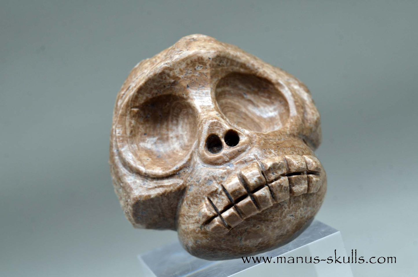 Aragonite Nodul Evolian Skull 2025 # 08